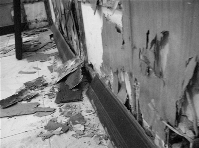 白蟻的危害，每年造成的直接經濟損失在3000萬元以